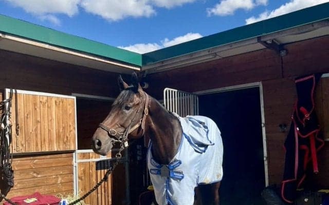 【愛セントレジャー】アルリファーが4馬身差圧勝でG1・3勝目…メルボルンカップへ