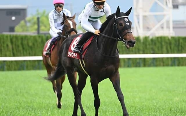 神戸新聞杯、オールカマーなど3重賞/今週の競馬界の見どころ