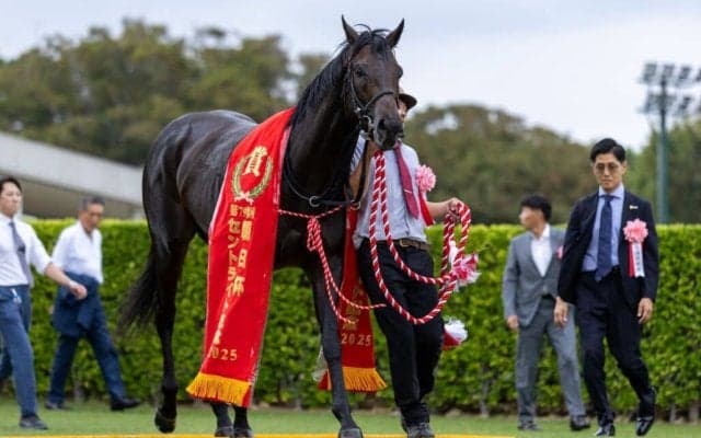 WIN5は23万円超の払戻し…セントライト記念はミュージアムマイルが完勝