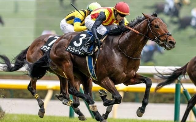 【オールカマー想定騎手】ドゥラドーレスはC.ルメール騎手、ヨーホーレイクは岩田望来騎手