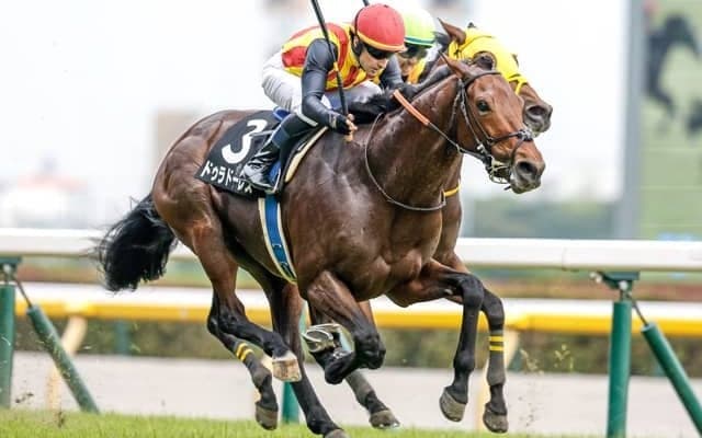 【オールカマー見どころ】衰え知らずのドゥラドーレス