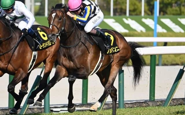 【神戸新聞杯見どころ】春のクラシック戦線を賑わしたジョバンニに注目