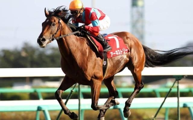 1位はグランプリホースの快勝劇 オールカマーの勝ち時計ランキング