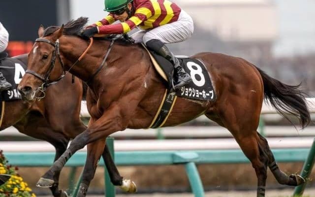 【先週のJRA抹消馬】今年の東風S2着馬ジョウショーホープ、芝・ダートの短距離戦で活躍したワンダーキサラなど