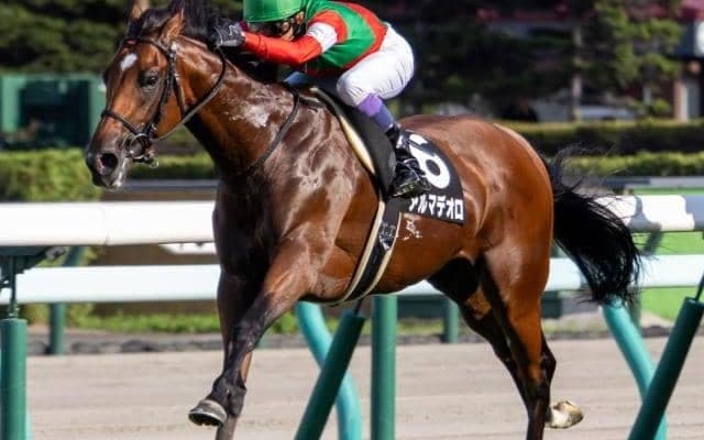 【神戸新聞杯】武豊騎手が15年ぶり4勝目なるか 「ゆかりの良血」アルマデオロで参戦