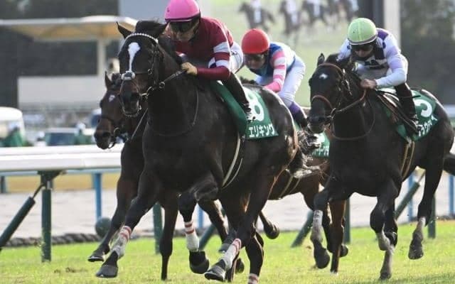 【神戸新聞杯予想オッズ】エリキングが予想1番人気