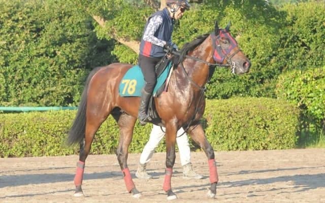 祖母はマイルCS覇者ブルーメンブラット サンラザールが日曜中山で初陣迎える/関東馬メイクデビュー情報