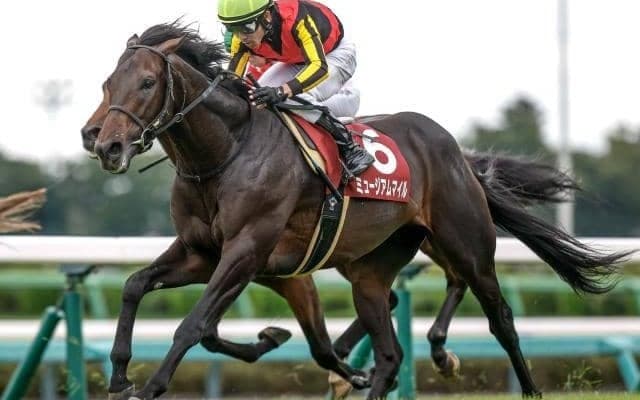 セントライト記念＆ローズSを血統で振り返る 秋始動戦制したクラシックホースの配合とは