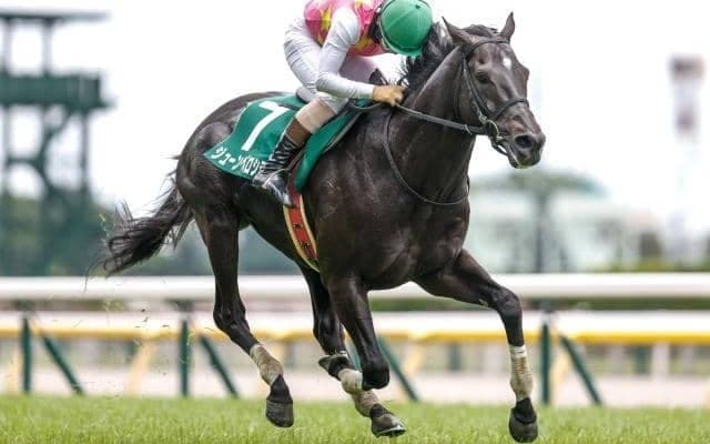 【阪神JS予想オッズ】ジューンベロシティが予想1番人気