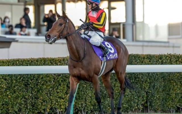 【オールカマー予想オッズ】レガレイラが予想1番人気