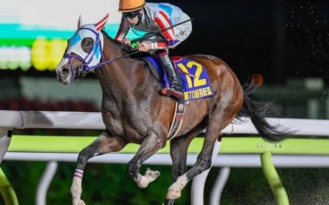 ジャパンダートクラシックの開催近づく 有力馬の父には人気種牡馬ずらり