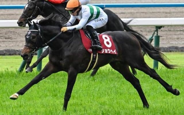 父仔制覇だらけの神戸新聞杯 今年の該当馬のなかで注目馬は？