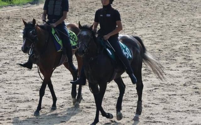 テルヴィセクスなど、先週のゲート試験/栗東トレセンニュース