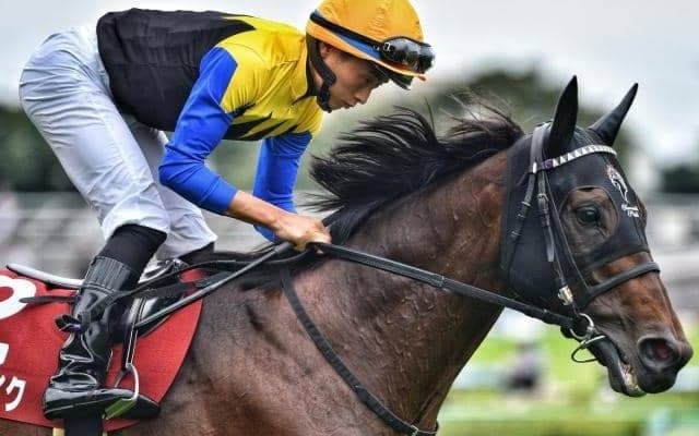 【オールカマー】15年ぶりの7歳馬Vなるか 古豪ヨーホーレイクが重賞4勝目狙う