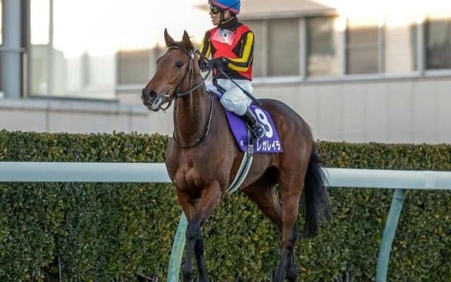 【オールカマー展望】データが後押しする4歳牝馬レガレイラが秋初戦を飾る