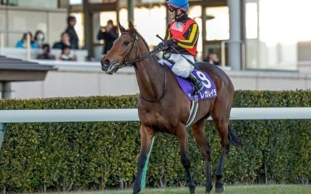 【オールカマー出走馬・騎手確定】レガレイラ＆戸崎圭太騎手、ドゥラドーレス＆C.ルメール騎手など11頭