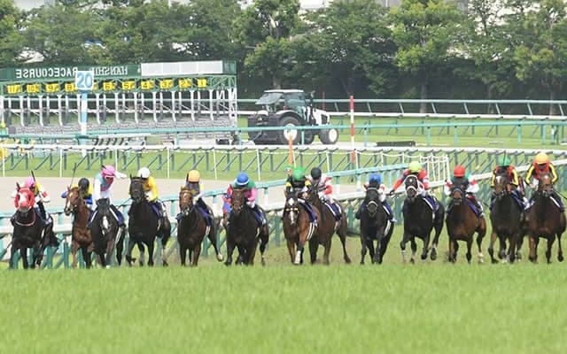 馬主は高須クリニックの高須克彌氏 タカスタカスタカスがデビュー勝ち狙う