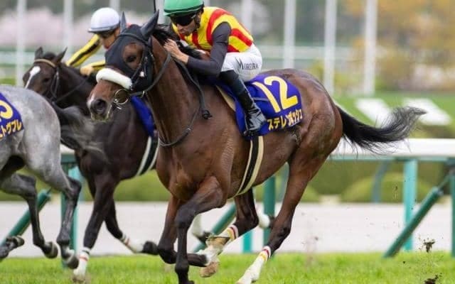 半姉は桜花賞馬のステレンボッシュ クランズクラウンがデビュー勝ちなるか