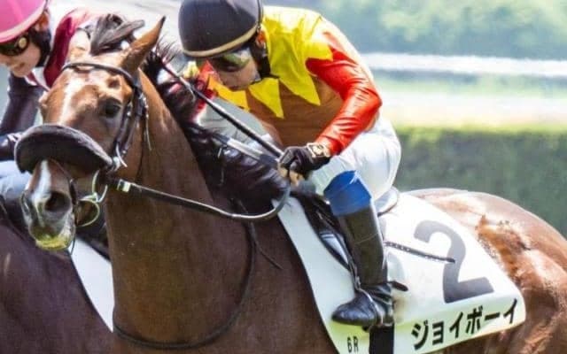 叔父2頭が2着＆3着の神戸新聞杯 伏兵ジョイボーイが菊切符獲得なるか