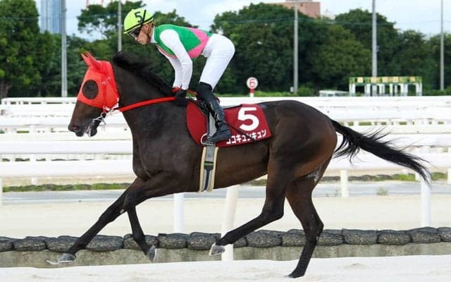【園田プリンセスC】山本咲希到騎手が会心エスコート！ココキュンキュンが世代牝馬戦線をリード