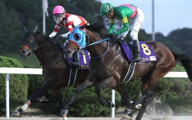 昨年のJBCスプリント覇者タガノビューティーが登録抹消 今後は種牡馬入りの予定