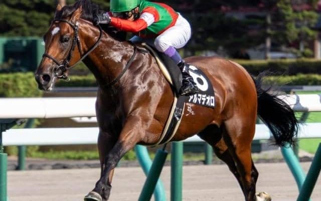 今週の武豊騎手は11鞍 アルマデオロで神戸新聞杯の15年ぶり4勝目なるか