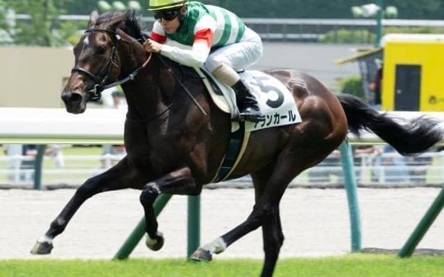 【野路菊S】母は名牝シンハライト アランカールが無傷の2連勝なるか