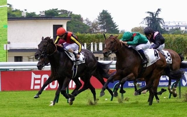 北村友一騎手が9月28日、29日の2日間騎乗停止…プランスドランジュ賞でムチ使用回数超過