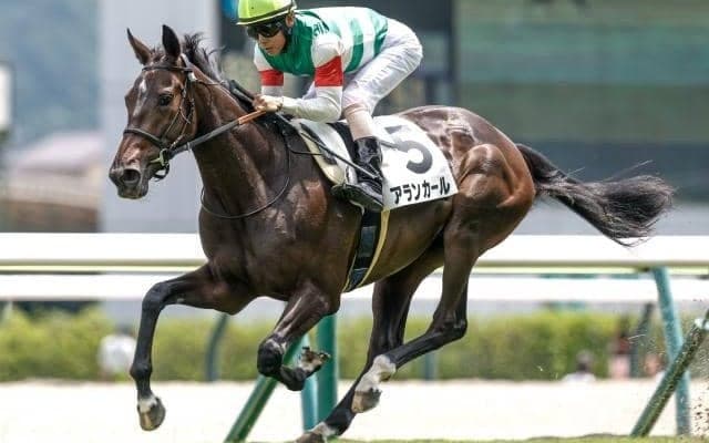 【今日の注目ポイント】阪神JS＆野路菊Sでアランカールが連勝狙う