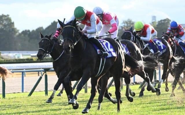 昨年の2歳女王アルマヴェローチェに左前浅屈腱炎が判明 9カ月以上の休養要す見込み