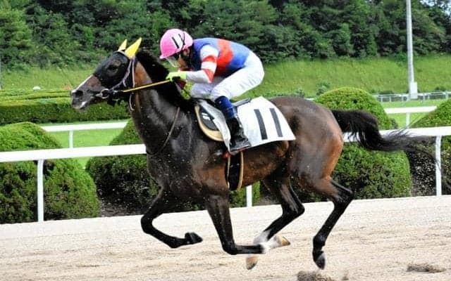 「ハルウララ再現を」ルメール騎手に手紙　121連敗馬に熱烈ファン