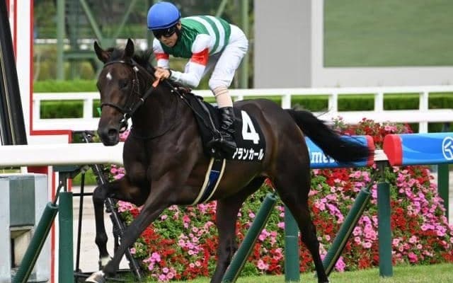 【野路菊S結果】アランカールが3馬身半差の完勝で無傷2連勝 母はオークス馬シンハライト