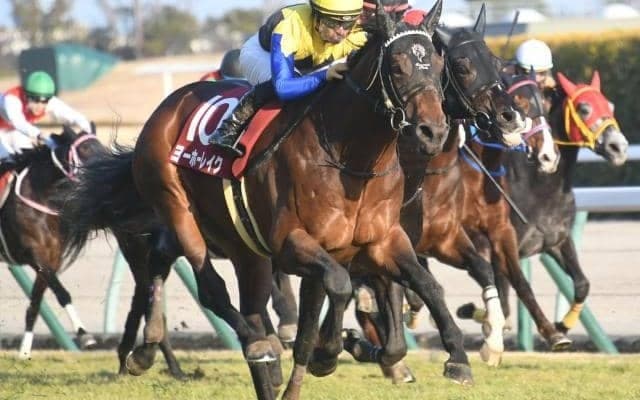 【オールカマー予想】近10年は人気馬に良績が集中！ 前走大敗でリズムを崩している馬には要注意