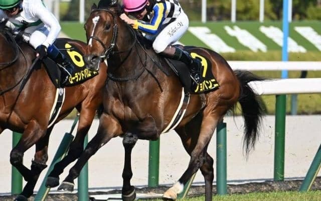 【AI予想・神戸新聞杯】不安あった前走は参考外！ ガラリ一変に期待できる人工知能の本命馬