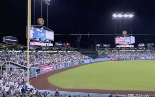 なんで入るの…？ 大谷翔平、当てただけで“まさかの逆方向弾”「すげえな」異常に伸びる打球→野手の頭上を“ゆっくり通過” 