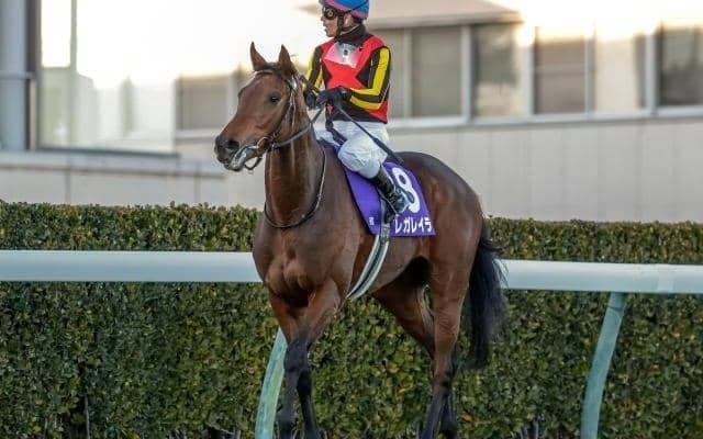 【今日の注目ポイント】中山でオールカマーと阪神で神戸新聞杯