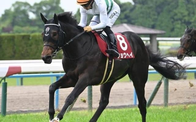 【神戸新聞杯予想】菊花賞切符を懸けたトライアル 操作性の高さがポイントに