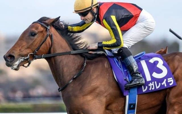 【オールカマー予想】実力馬にとって有利な舞台 瞬発力と脚力がカギに