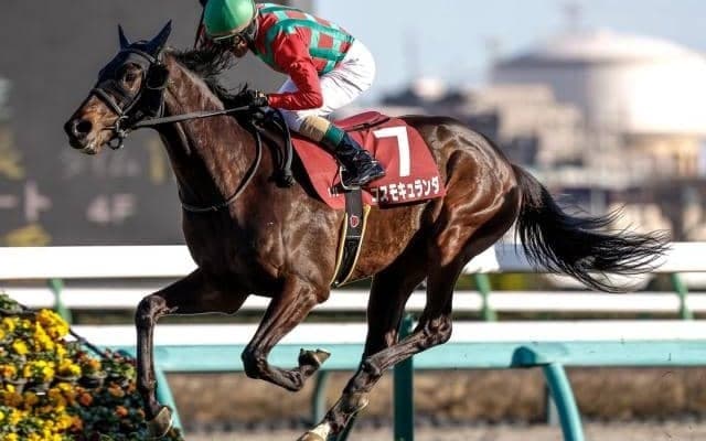 【オールカマー予想】中山同距離重賞リピーターを探せ？ 過去データから探るGIIオールカマー