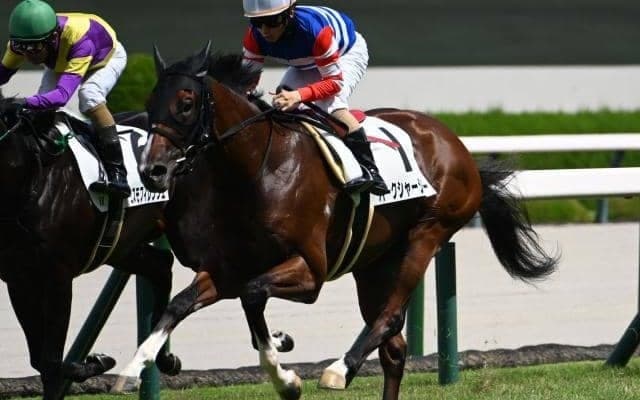 【阪神5R新馬戦結果】モズアスコット産駒バークシャーシチーが直線一気でV