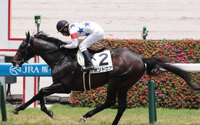 【競馬予想】ダービー組が強い神戸新聞杯　高配当の使者は持久力を秘めた別路線組の２頭