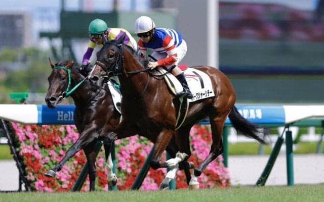 【新馬/阪神5R】8番人気の伏兵バークシャーシチーが差し切る