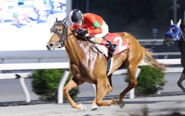 【高知・ミラク特別】グレートヒエン鮮やか逃げ切り…1番人気ミニョンは3着