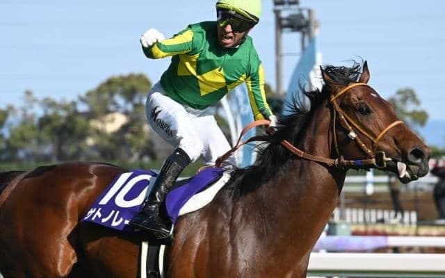 秋のGI戦線開幕を告げるスプリンターズSとシリウスS/今週の競馬界の見どころ