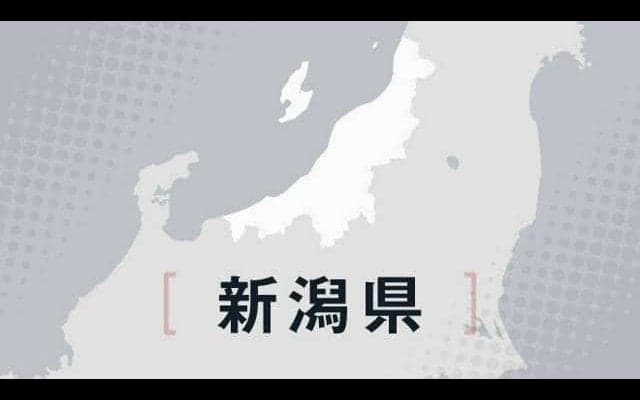 高校軟式野球県大会　新潟商が優勝