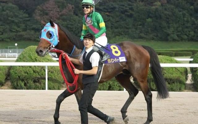 【先週のJRA抹消馬】JpnI馬タガノビューティー、ダート短距離で活躍のルクスメテオールなど