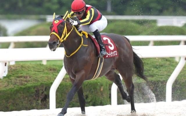 【浦和・オーバルスプリント注目馬】中央・地方から実力拮抗の好メンバー集結 飛躍を誓う快速馬による戦い