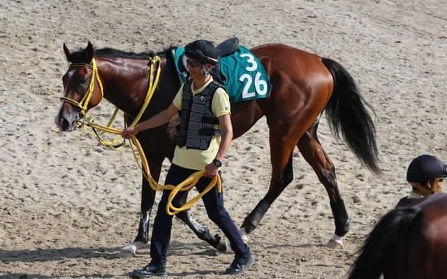 大阪杯勝ち馬ジャックドールの全弟 クラウンインジエアが土曜阪神で初陣/関西馬メイクデビュー情報