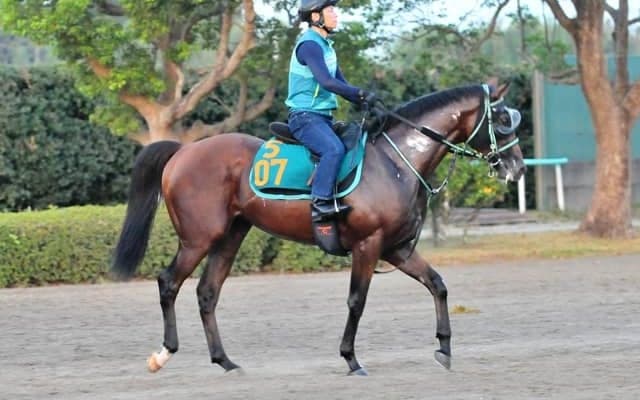 おばにGI・9勝のアーモンドアイ 日曜中山で初陣迎えるエピックフライト/関東馬メイクデビュー情報