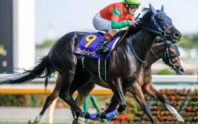 豪リーディングサイアー6回獲得 種牡馬で一大勢力を築いた「サートリストラム」を深堀り